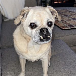 Meet your Posher, Marla